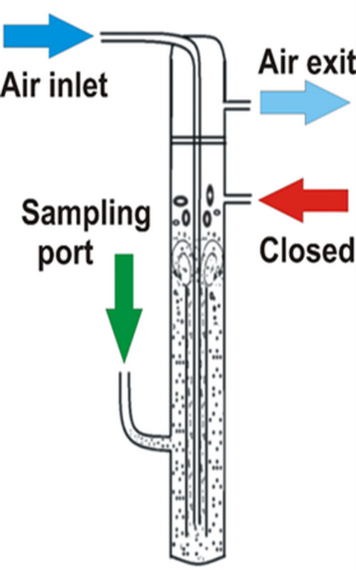 Graphical Abstract