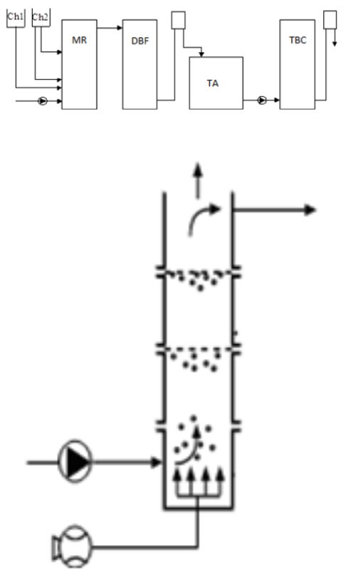 Graphical Abstract