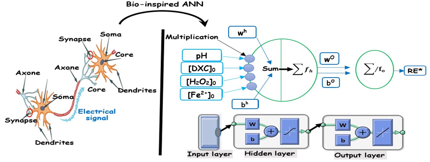 Graphical abstract